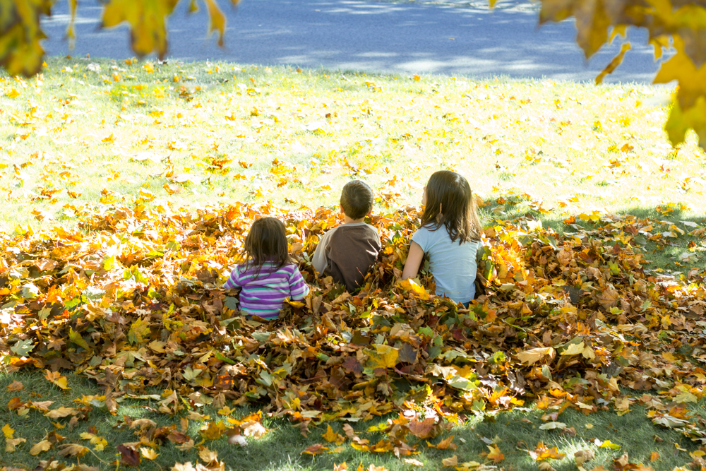 Playing in the Leaves